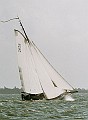VA161